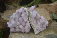 Natural Amethyst Spirit Quartz Clusters x 2 From Boekenhouthoek, South Africa