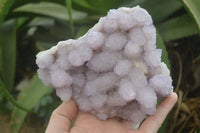 Natural Amethyst Spirit Quartz Clusters x 2 From Boekenhouthoek, South Africa