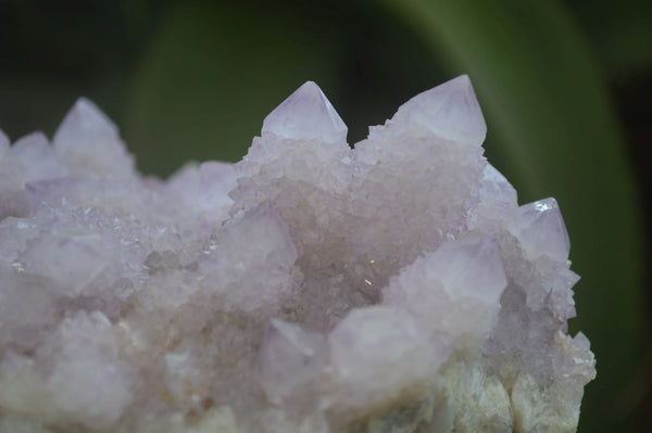 Natural Amethyst Spirit Quartz Clusters x 2 From Boekenhouthoek, South Africa