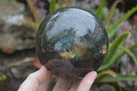 Polished Labradorite Sphere with a Rosewood Stand x 1 From Tulear, Madagascar