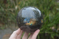 Polished Labradorite Sphere with a Rosewood Stand x 1 From Tulear, Madagascar