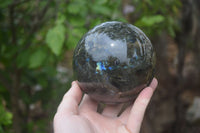 Polished Labradorite Sphere with a Rosewood Stand x 1 From Tulear, Madagascar