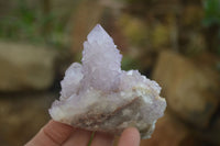 Natural Amethyst and Ametrine Spirit Quartz Clusters x 12 From Boekenhouthoek, South Africa