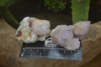 Natural Amethyst and Ametrine Spirit Quartz Clusters x 12 From Boekenhouthoek, South Africa