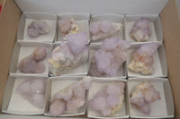 Natural Amethyst and Ametrine Spirit Quartz Clusters x 12 From Boekenhouthoek, South Africa