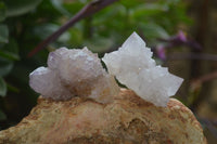 Natural Amethyst and Ametrine Spirit Quartz Clusters x 12 From Boekenhouthoek, South Africa