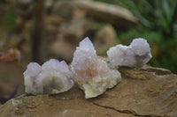 Natural Amethyst and Ametrine Spirit Quartz Clusters x 12 From Boekenhouthoek, South Africa