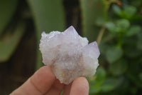 Natural Amethyst and Ametrine Spirit Quartz Clusters x 12 From Boekenhouthoek, South Africa