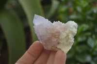 Natural Amethyst and Ametrine Spirit Quartz Clusters x 12 From Boekenhouthoek, South Africa