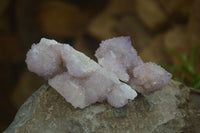 Natural Amethyst and Ametrine Spirit Quartz Clusters x 12 From Boekenhouthoek, South Africa