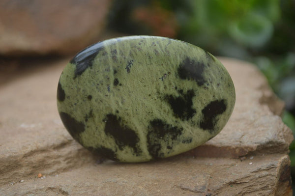 Polished Leopard Stone Galet-Palm Stones x 12 From Nyanga, Zimbabwe