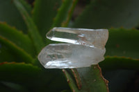 Polished Quartz Crystals x 35 From Serenje, Zambia