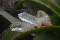 Polished Quartz Crystals x 35 From Serenje, Zambia