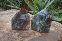 Polished Bloodstone Point-Prisms x 2 From Swaziland