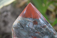 Polished Bloodstone Point-Prisms x 2 From Swaziland