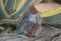 Polished Bloodstone Point-Prisms x 2 From Swaziland