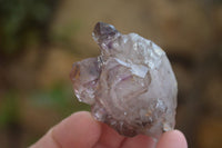 Natural Smokey Window Amethyst Crystals x 12 From Chiredzi, Zimbabwe