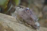 Natural Smokey Window Amethyst Crystals x 12 From Chiredzi, Zimbabwe