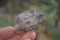 Natural Smokey Window Amethyst Crystals x 12 From Chiredzi, Zimbabwe