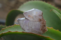 Natural Smokey Window Amethyst Crystals x 12 From Chiredzi, Zimbabwe