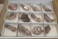 Natural Smokey Window Amethyst Crystals x 12 From Chiredzi, Zimbabwe