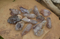 Natural Smokey Window Amethyst Crystals x 12 From Chiredzi, Zimbabwe