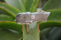 Natural Smokey Window Amethyst Crystals x 12 From Chiredzi, Zimbabwe