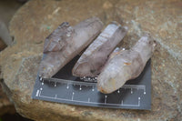 Natural Smokey Window Amethyst Crystals x 12 From Chiredzi, Zimbabwe