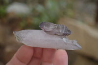 Natural Smokey Window Amethyst Crystals x 12 From Chiredzi, Zimbabwe