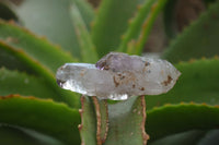 Natural Smokey Window Amethyst Crystals x 12 From Chiredzi, Zimbabwe