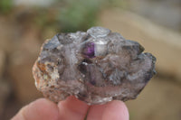 Natural Smokey Window Amethyst Crystals x 12 From Chiredzi, Zimbabwe