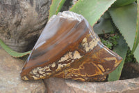 Polished On One Side Nguni Jasper Specimens x 1 From Prieska, South Africa