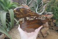 Polished On One Side Nguni Jasper Specimens x 1 From Prieska, South Africa