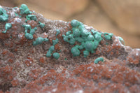 Natural Ball Malachite On Quartz Matrix Specimens x 2 From Mindigi Mine, Congo