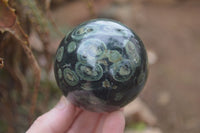 Polished Stromatolite Sphere-Ball x 2 From Katsepy, Madagascar