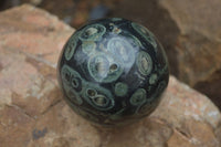 Polished Stromatolite Sphere-Ball x 2 From Katsepy, Madagascar