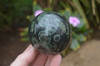 Polished Stromatolite Sphere-Ball x 2 From Katsepy, Madagascar