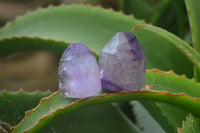 Polished Smokey Amethyst Window Quartz Point-Prism x 20 From Akansobe, Madagascar