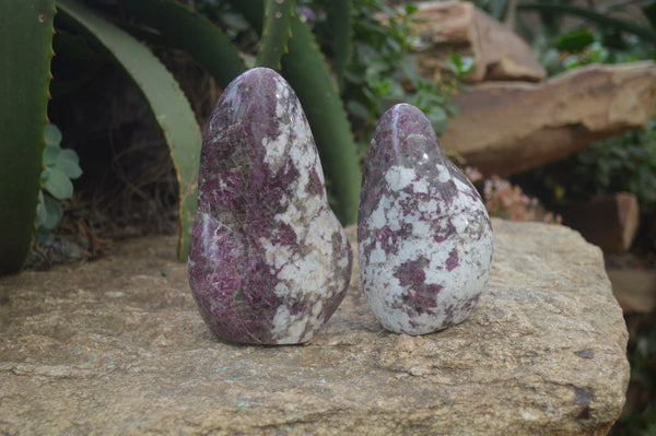 Polished Rubellite Pink Tourmaline Standing Free Forms x 2 From Ambatondrazaka, Madagascar