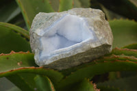 Natural Blue Lace Agate Geode Specimens x 4 From Nsanje, Malawi