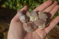 Natural Amethyst and Ametrine Spirit Quartz Clusters x 35 From Boekenhouthoek, South Africa