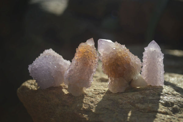 Natural Amethyst and Ametrine Spirit Quartz Clusters x 35 From Boekenhouthoek, South Africa