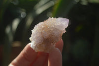 Natural Amethyst and Ametrine Spirit Quartz Clusters x 35 From Boekenhouthoek, South Africa