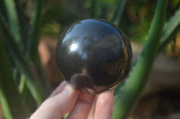 Polished Black Basalt Sphere-Ball x 3 From Antsirabe, Madagascar