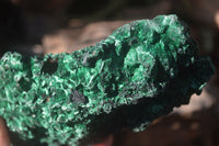 Natural Silky Malachite Specimens x 1 From Kasompe, Congo