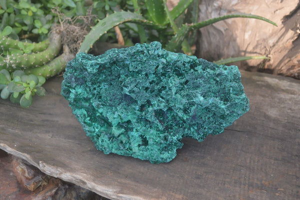 Natural Silky Malachite Specimens x 1 From Kasompe, Congo