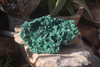 Natural Silky Malachite Specimens x 1 From Kasompe, Congo