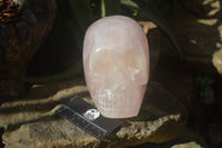 Polished Rose Quartz Skull x 1 From Madagascar