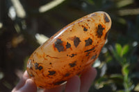 Polished Ocean Flower Agate Standing Free Forms x 3 From Antsahalova, Madagascar