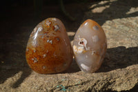 Polished Ocean Flower Agate Standing Free Forms x 3 From Antsahalova, Madagascar